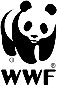 WWF | Panda Collection | Pigments by Liv