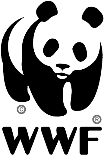WWF | Panda Collection | Pigments by Liv