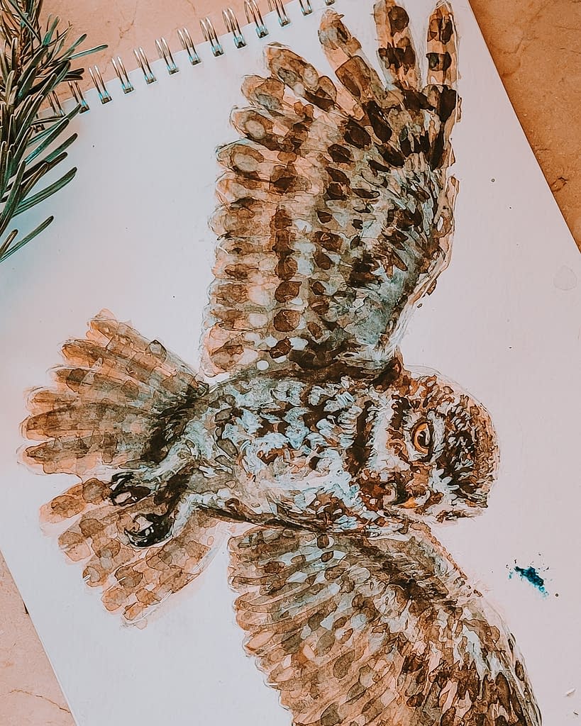 Owl Art Print | Pigments by Liv
