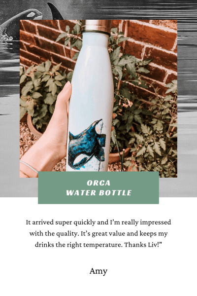 Orca Water Bottle | Pigments by Liv