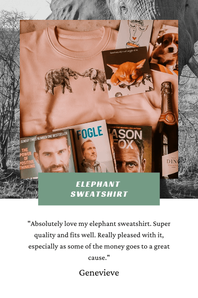 Elephant Sweatshirt | Pigments by Liv